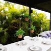 image:imageNearly Natural 10in Artificial Boston Ferns in Hanging Wicker Baskets Set of 3 Fake Ferns for IndoorOutdoor Use Hanging Basket for Patio Decoration UV Resistant