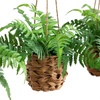 image:imageNearly Natural 10in Artificial Boston Ferns in Hanging Wicker Baskets Set of 3 Fake Ferns for IndoorOutdoor Use Hanging Basket for Patio Decoration UV Resistant