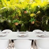 image:imageNearly Natural 10in Artificial Boston Ferns in Hanging Wicker Baskets Set of 3 Fake Ferns for IndoorOutdoor Use Hanging Basket for Patio Decoration UV Resistant