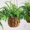 image:imageNearly Natural 10in Artificial Boston Ferns in Hanging Wicker Baskets Set of 3 Fake Ferns for IndoorOutdoor Use Hanging Basket for Patio Decoration UV Resistant