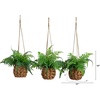 image:imageNearly Natural 10in Artificial Boston Ferns in Hanging Wicker Baskets Set of 3 Fake Ferns for IndoorOutdoor Use Hanging Basket for Patio Decoration UV Resistant