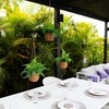 image:imageNearly Natural 10in Artificial Boston Ferns in Hanging Wicker Baskets Set of 3 Fake Ferns for IndoorOutdoor Use Hanging Basket for Patio Decoration UV Resistant
