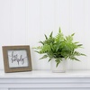image:imageNearly Natural 13in Artificial Boston Fern Plant with Decorative Planter
