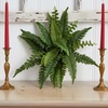 image:imageNearly Natural 14 in Artificial Boston Fern Set of 6 Indoor Office Plants