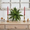 image:imageNearly Natural 14 in Artificial Boston Fern Set of 6 Indoor Office Plants