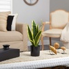 image:imageNearly Natural 14in Artificial Tall Snake Plant Sansevieria Yellow Faux Snake Plant for Indoor Home Decor in Black Nursery Pot Fake Plant for Office Living Room Bedroom Tabletop DIY