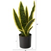 image:imageNearly Natural 14in Artificial Tall Snake Plant Sansevieria Yellow Faux Snake Plant for Indoor Home Decor in Black Nursery Pot Fake Plant for Office Living Room Bedroom Tabletop DIY