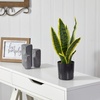 image:imageNearly Natural 14in Artificial Tall Snake Plant Sansevieria Yellow Faux Snake Plant for Indoor Home Decor in Black Nursery Pot Fake Plant for Office Living Room Bedroom Tabletop DIY