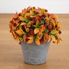 image:imageNearly Natural 155in Mixed Fall Mum UVResistant Outdoor Porch Decor