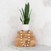 image:imageNearly Natural 16 in Artificial Sansevieria Snake Plant White Planter DecorGreen