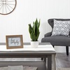 image:imageNearly Natural 16 in Artificial Sansevieria Snake Plant White Planter DecorGreen