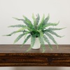 image:imageNearly Natural 16Inch Artificial Boston Fern Plant  Lifelike Greenery in Textured Cement Planter