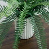 image:imageNearly Natural 16Inch Artificial Boston Fern Plant  Lifelike Greenery in Textured Cement Planter