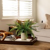 image:imageNearly Natural 16Inch Artificial Boston Fern Plant  Lifelike Greenery in Textured Cement Planter