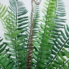 image:imageNearly Natural 16Inch Artificial Boston Fern Plant  Lifelike Greenery in Textured Cement Planter