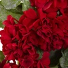 image:imageNearly Natural 17 in Artificial Geranium Wreath for Front Door Home Decor