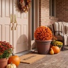 image:imageNearly Natural 17in Orange Eucalyptus Fall Ball UVResistant Decor