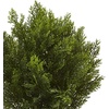 image:imageNearly Natural 2 ft Artificial Cedar Bush Indoor Outdoor Plant with Pot