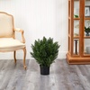 image:imageNearly Natural 2 ft Artificial Cedar Bush Indoor Outdoor Plant with Pot