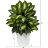 image:imageNearly Natural 2 ft Artificial Golden Dieffenbachia Faux Desk Room Decor