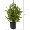 image:imageNearly Natural 2 ft Artificial Norfolk Island Pine in Decorative Planter