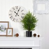 image:imageNearly Natural 2 ft Artificial Norfolk Island Pine in Decorative Planter