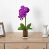 image:imageNearly Natural 20 in Artificial Phalaenopsis Orchid Arrangement in VaseMauve