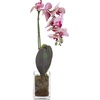 image:imageNearly Natural 20 in Artificial Phalaenopsis Orchid Arrangement in VasePink