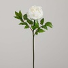 image:imageNearly Natural 20in Artificial Peony Flower Stems Set of 3 Long Stem Artificial Flowers for Home or Office Dcor Faux Peony Flower Stems in White for DIY DecorationWhite