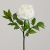 image:imageNearly Natural 20in Artificial Peony Flower Stems Set of 3 Long Stem Artificial Flowers for Home or Office Dcor Faux Peony Flower Stems in White for DIY DecorationWhite