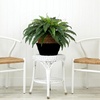 image:imageNearly Natural 23in Artificial Boston Fern Plant with Handmade Jute amp Cotton Basket DIY KIT