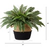 image:imageNearly Natural 23in Artificial Boston Fern Plant with Handmade Jute amp Cotton Basket DIY KIT