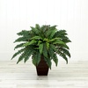image:imageNearly Natural 23in Artificial Boston Fern Plant with Tapered Bronze Square Metal Planter DIY KIT