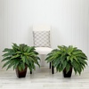 image:imageNearly Natural 23in Artificial Boston Fern Plant with Tapered Bronze Square Metal Planter DIY KIT Set of 2