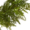 image:imageNearly Natural 24 in Artificial Mixed Fern Wreath Green Front Door Decor