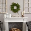image:imageNearly Natural 24 in Artificial Mixed Fern Wreath Green Front Door Decor