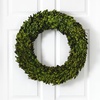 image:imageNearly Natural 24 in Artificial Preserved Boxwood Wreath for Wall Decor