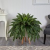 image:imageNearly Natural 25ft Boston Fern Artificial Plant in White Planter with Legs