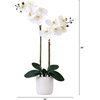 image:imageNearly Natural 26 in Artificial Double Phalaenopsis Orchid with Vase