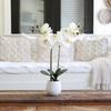 image:imageNearly Natural 26 in Artificial Double Phalaenopsis Orchid with Vase