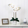 image:imageNearly Natural 26 in Artificial Double Phalaenopsis Orchid with Vase