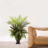 image:imageNearly Natural 27in Mixed Areca Palm Fern amp Peacock with Planter