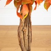 image:imageNearly Natural 3 ft Artificial Autumn Ficus Fall Tree with Nursery Planter