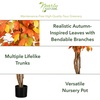 image:imageNearly Natural 3 ft Artificial Autumn Ficus Fall Tree with Nursery Planter