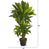 image:imageNearly Natural 3 ft Artificial Corn Stalk Dracaena RealTouch Floor Plant
