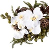 image:imageNearly Natural 30in Phalaenopsis Orchid amp Pine Swag