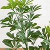 image:imageNearly Natural 31 in UVResistant Artificial Schefflera Tree