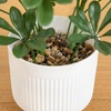 image:imageNearly Natural 31 in UVResistant Artificial Schefflera Tree