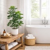 image:imageNearly Natural 31 in UVResistant Artificial Schefflera Tree