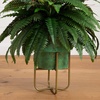 image:imageNearly Natural 31in Artificial Boston Fern Plant on Display Stand in Removal Patina Metal Planter Fake Ferns for Living Room Bedroom Office Home Dcor